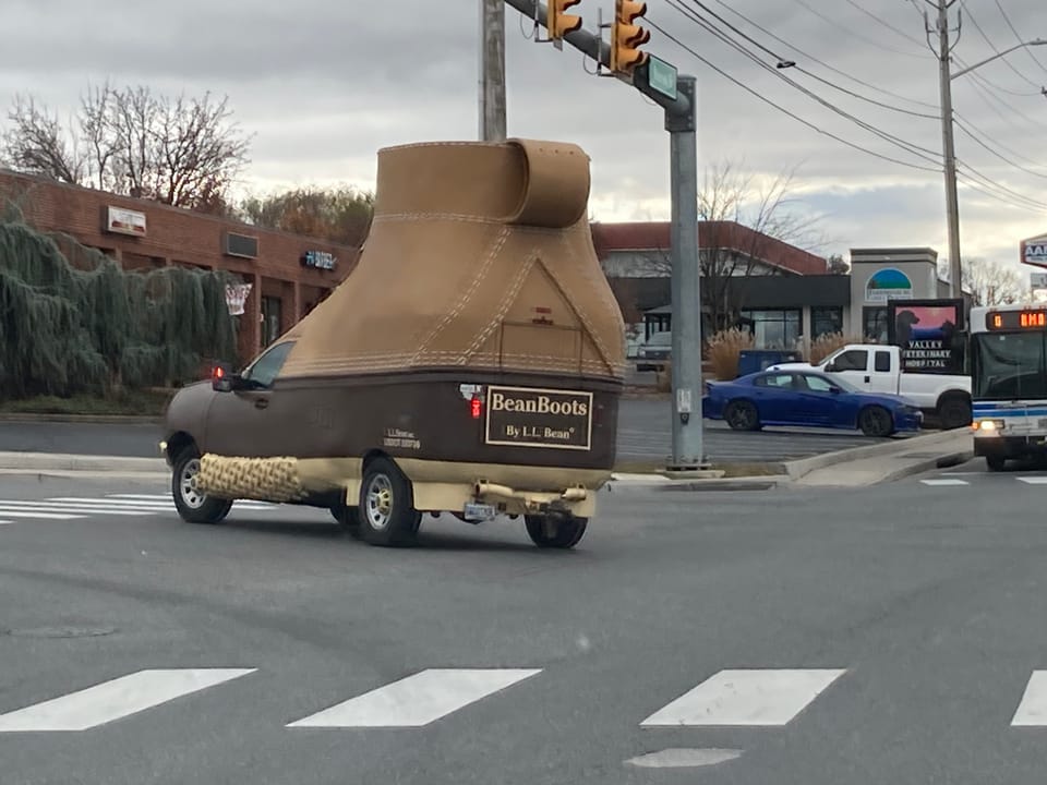 Guess What We Saw!