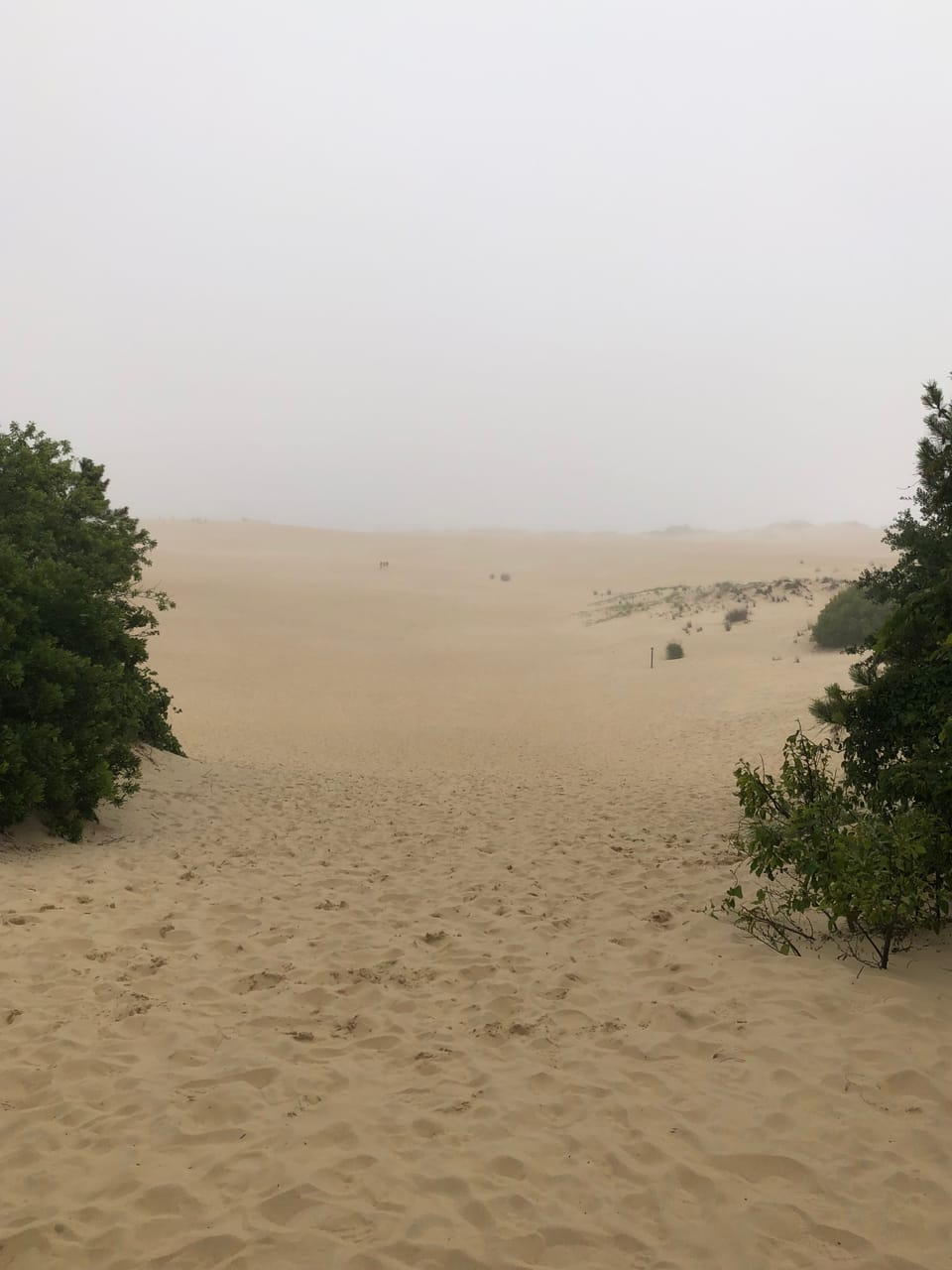 Nags Head 2023