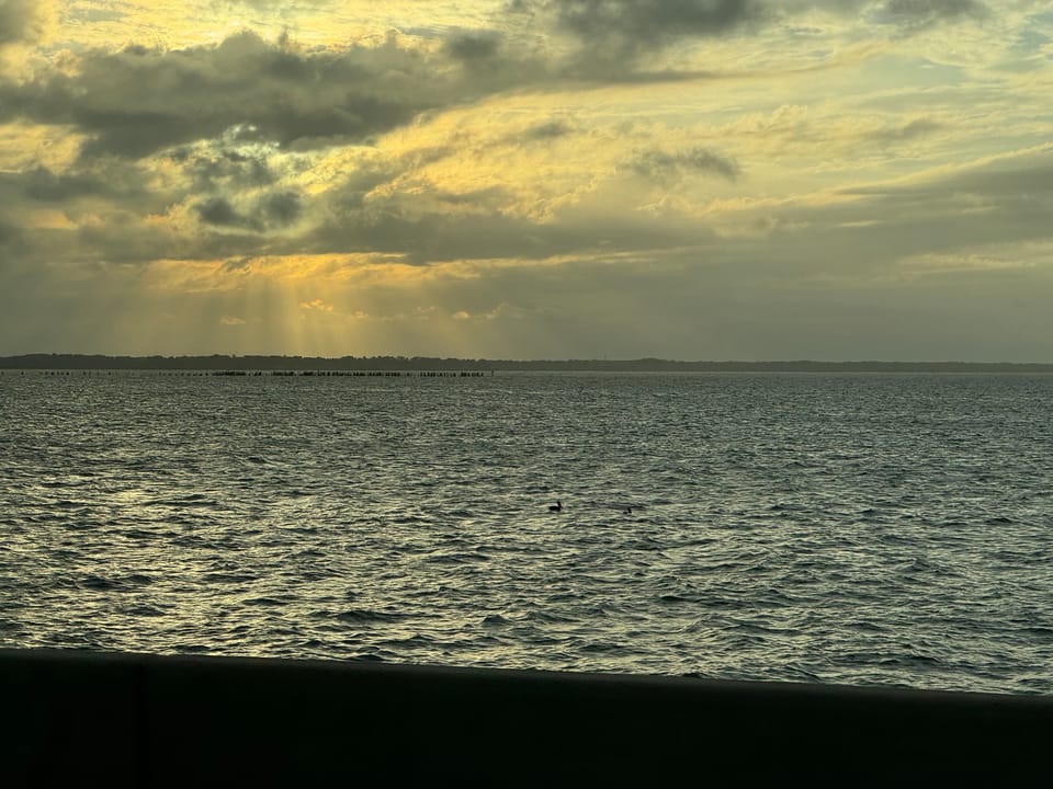 Outer Banks 2024
