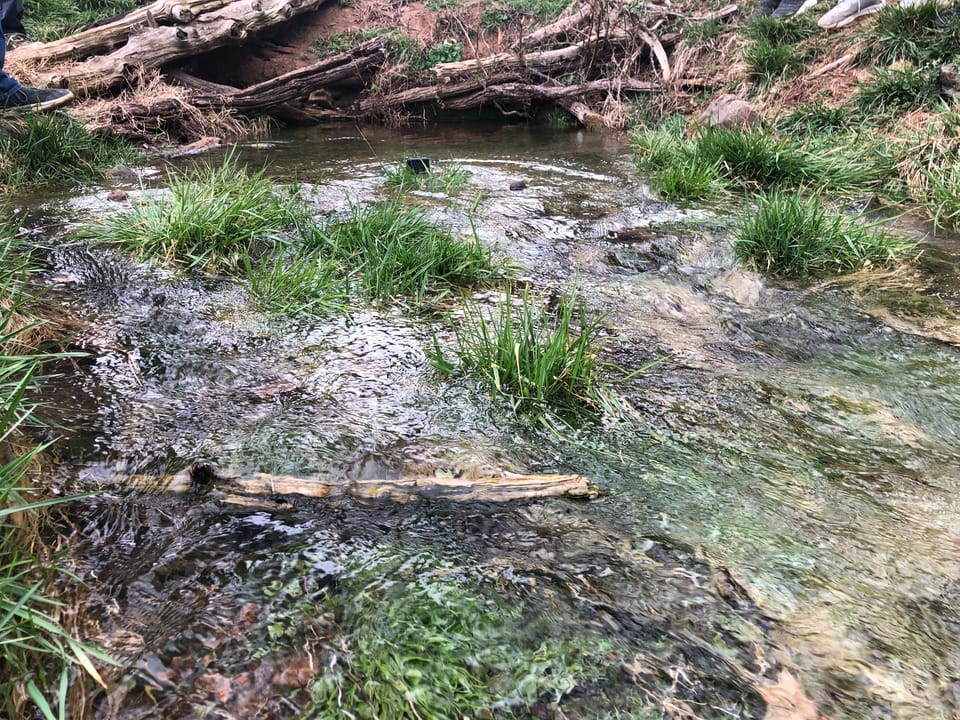 Tide Springs